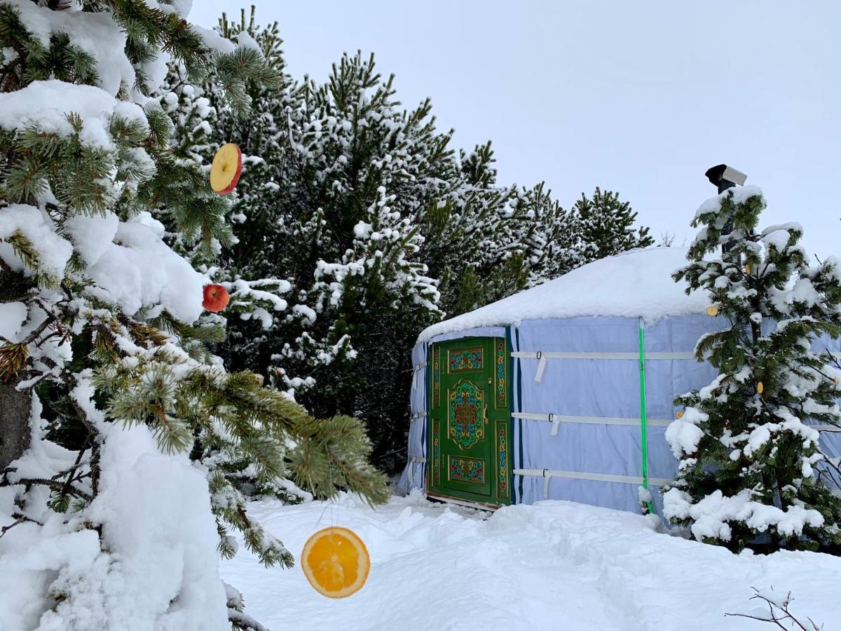 Valhalla Yurts Odin Selfoss Exterior photo